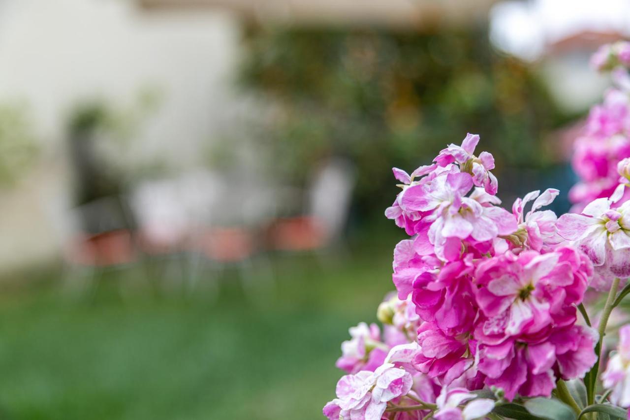 Villa Vardakas Pefkochori Esterno foto